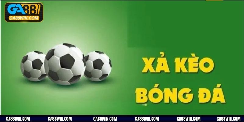 Bật mí kinh nghiệm xả kèo hiệu quả từ chuyên gia